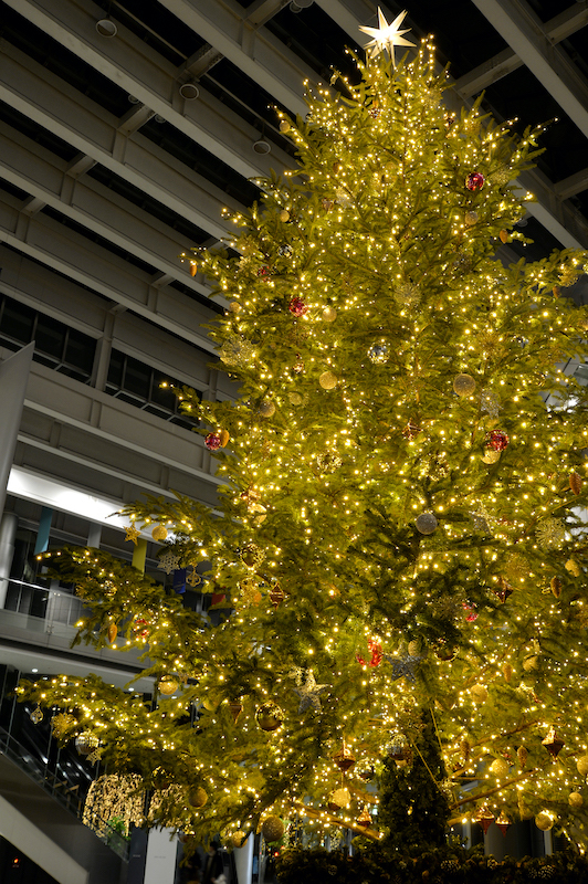 新宿パークタワー　ウィンターイルミネーション　クリスマス 2021